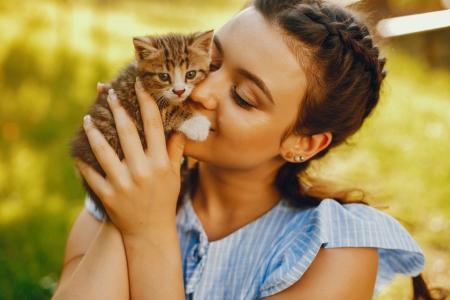 Seu gato fica pedindo carinho? 7 sinais que revelam quando ele quer sua atenção