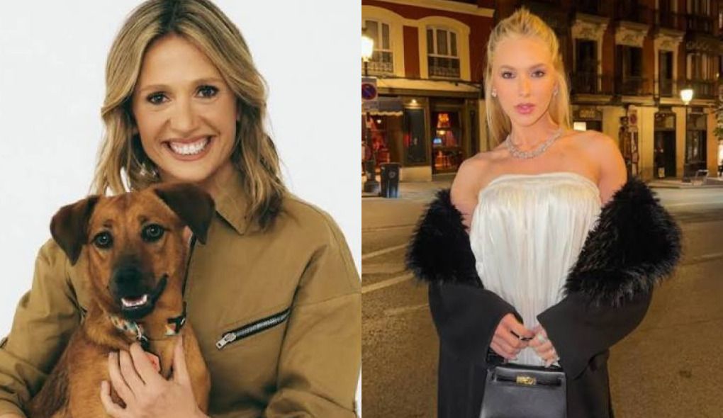 'Preferem uma rica em vez de animais que sofrem!': Luisa Mell reage a live de Virginia