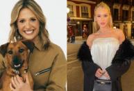 'Preferem uma rica em vez de animais que sofrem!': Luisa Mell reage a live de Virginia