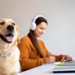 Cães de terapia ajudam universitários a criar vínculos e aliviar o estresse