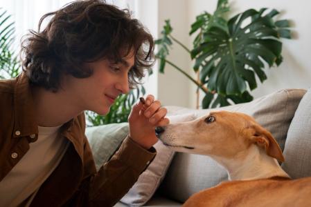 conversando com cachorro