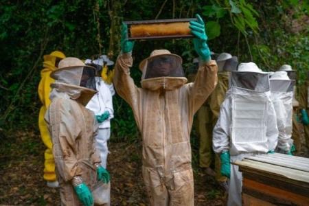 Curso de qualificação profissional do Pronatec