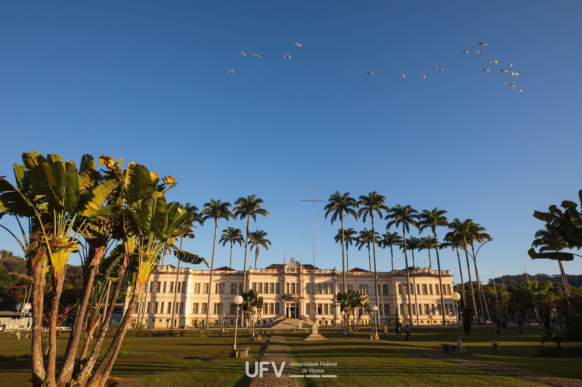 UFV, 100 Anos: a ciência que transformou o agro e constrói o futuro do campo