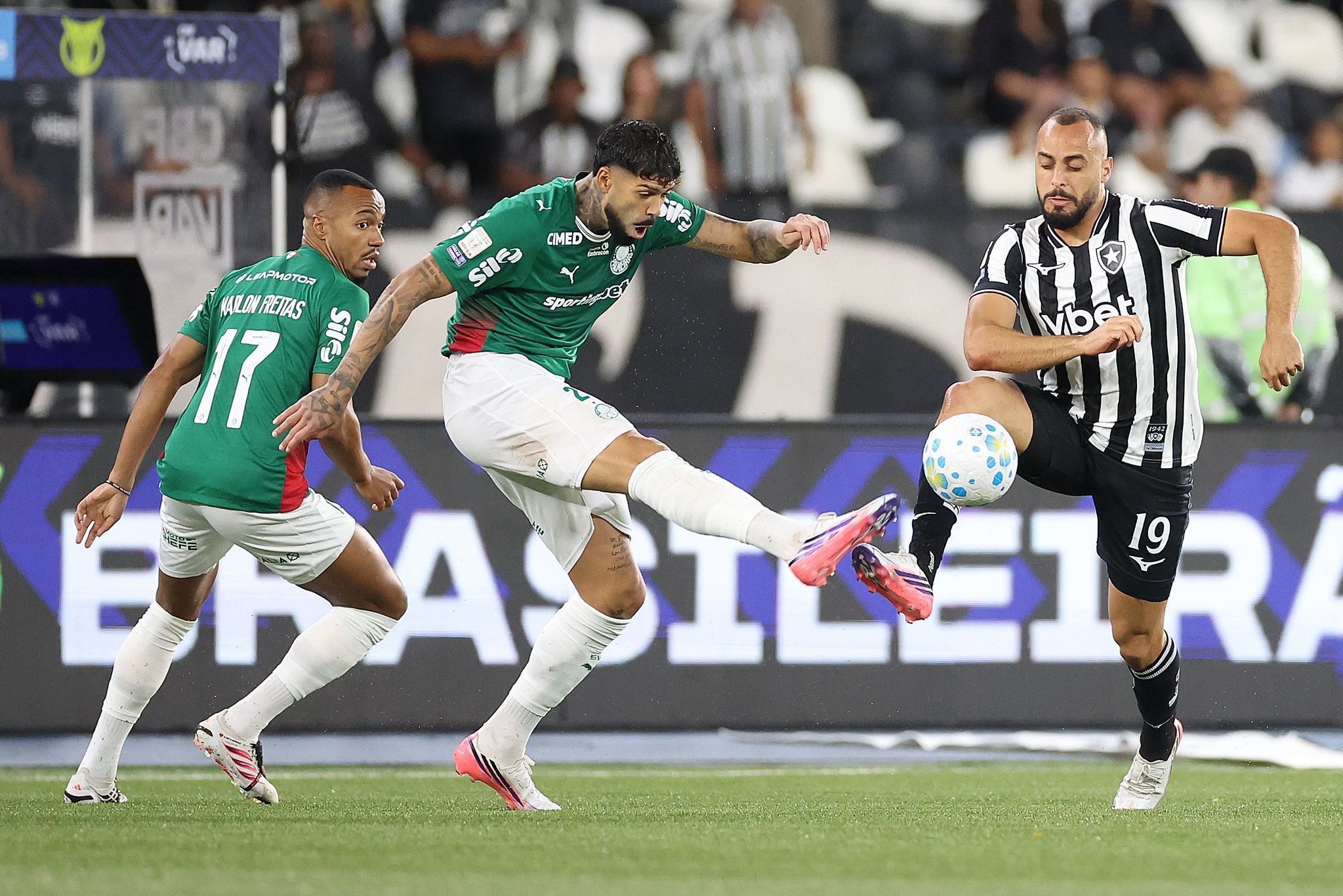 Palmeiras empata com o Botafogo e perde a liderança do Campeonato Brasileiro