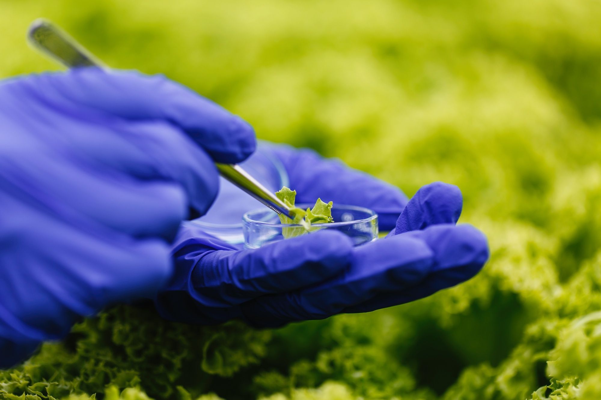Biotrop amplia presença internacional e destaca liderança do Brasil em bioinsumos