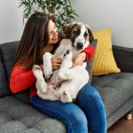 Seu cachorro mexe a pata quando você faz carinho? Entenda o que isso significa