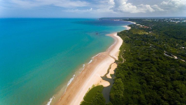 Costa do Descobrimento: Patrimônio Mundial abriga um dos trechos mais ricos da Mata Atlântica