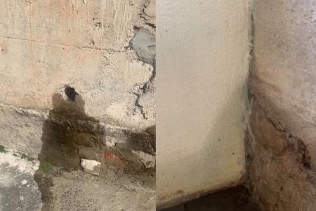 Vazamento de água da Copasa inunda casa em Sabará: 'Medo da parede cair', diz moradora