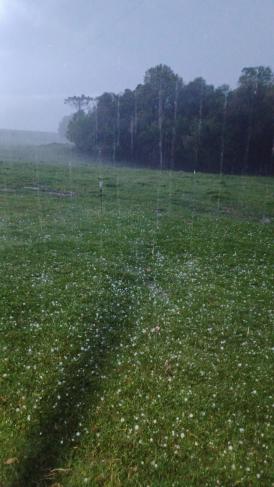 Chuva de granizo causa destruição no RS, e Defesa Civil emite alerta