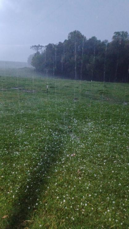 Chuva de granizo causa destruição no RS, e Defesa Civil emite alerta