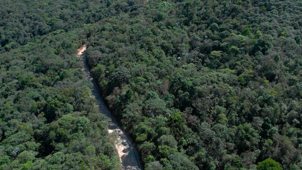 Ouro Preto fiscaliza veículos pesados na Estrada da Purificação