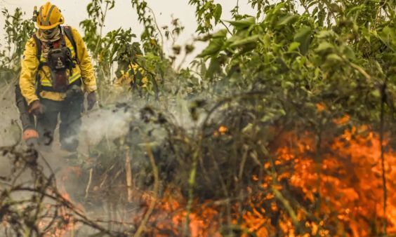 Câmara aprova uso planejado do fogo para prevenir incêndios florestais; entenda