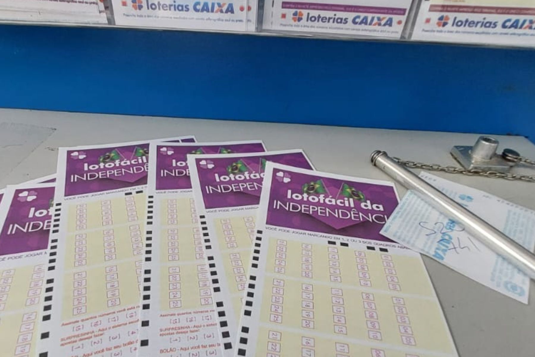 Resultado Lotofácil da Independência: veja números sorteados pela IA