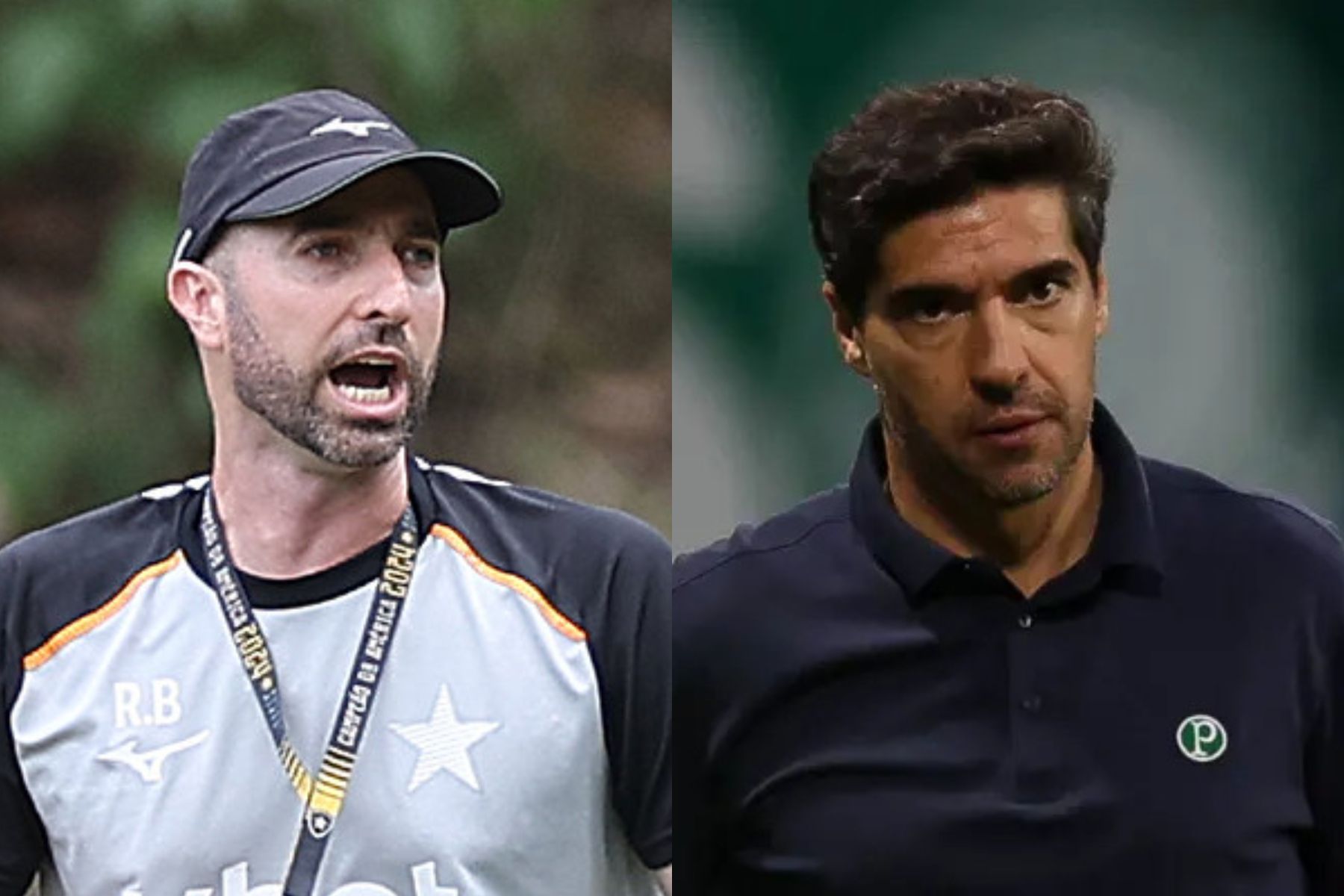 Botafogo e Palmeiras duelam com objetivos diferentes no Brasileirão