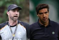 Botafogo e Palmeiras duelam com objetivos diferentes no Brasileirão