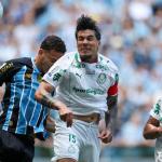 Gómez vê Palmeiras bem, mas justifica empate com Grêmio: 'Resultado é do Weverton'