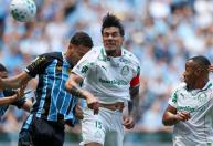 Gómez vê Palmeiras bem, mas justifica empate com Grêmio: 'Resultado é do Weverton'