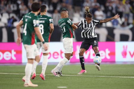 Botafogo x Palmeiras