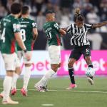Botafogo 0 x 0 Palmeiras: veja os melhores momentos da partida