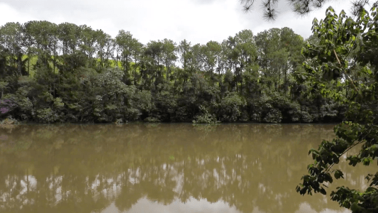 Horto Florestal é uma das principais atrações turísticas de Pouso Alegre