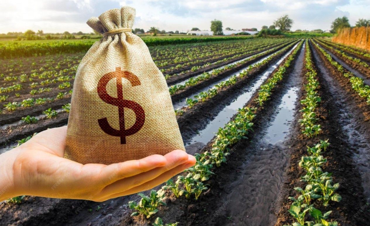 Valdir Barbosa: STF atinge em cheio o agronegócio e pode gerar mais inflação dos alimentos