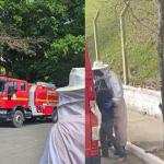 Idoso é internado em estado grave após ataque de abelhas em MG