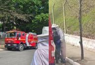 Idoso é internado em estado grave após ataque de abelhas em MG