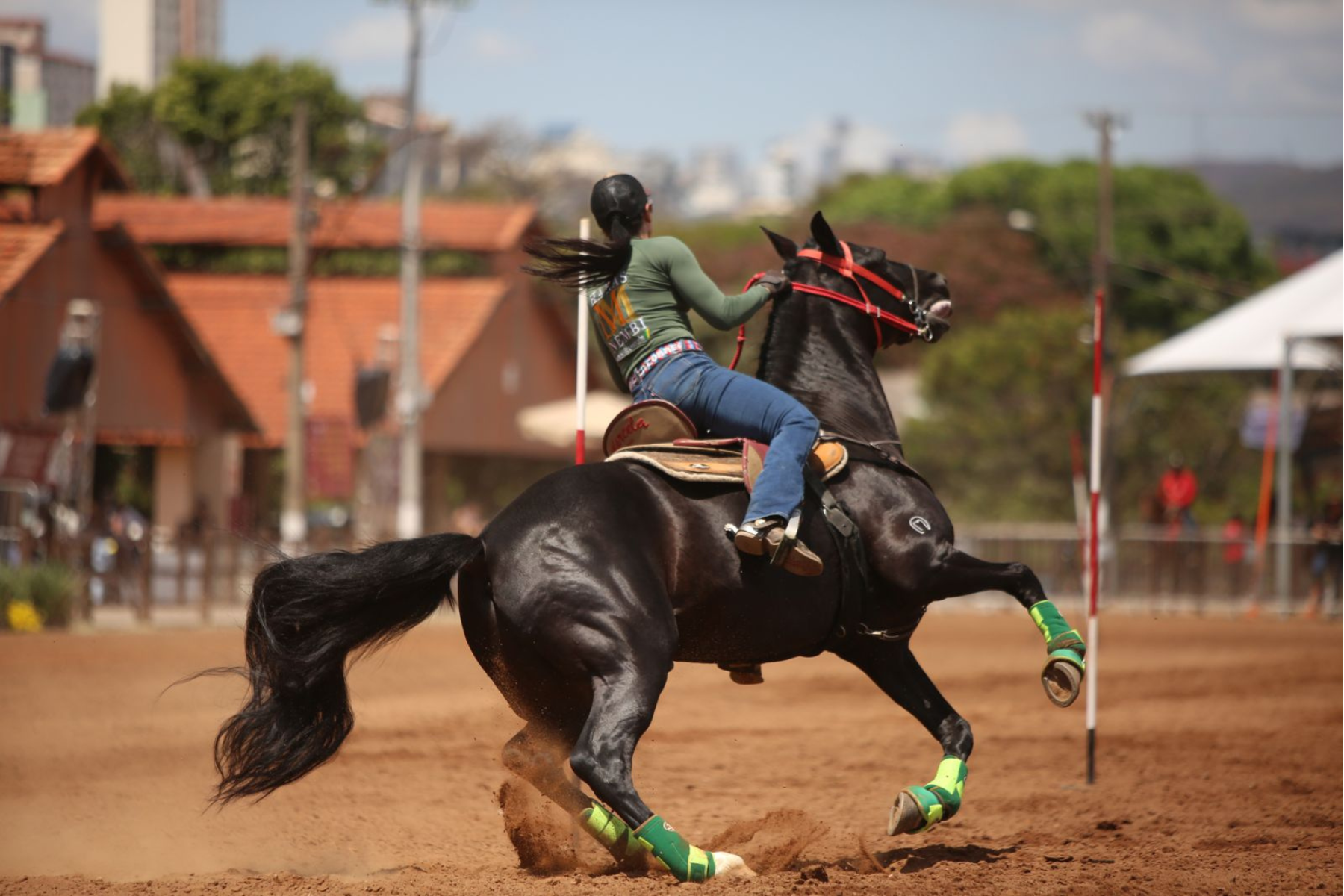 Campeonato Brasileiro de Esportes do Mangalarga Marchador começa em BH