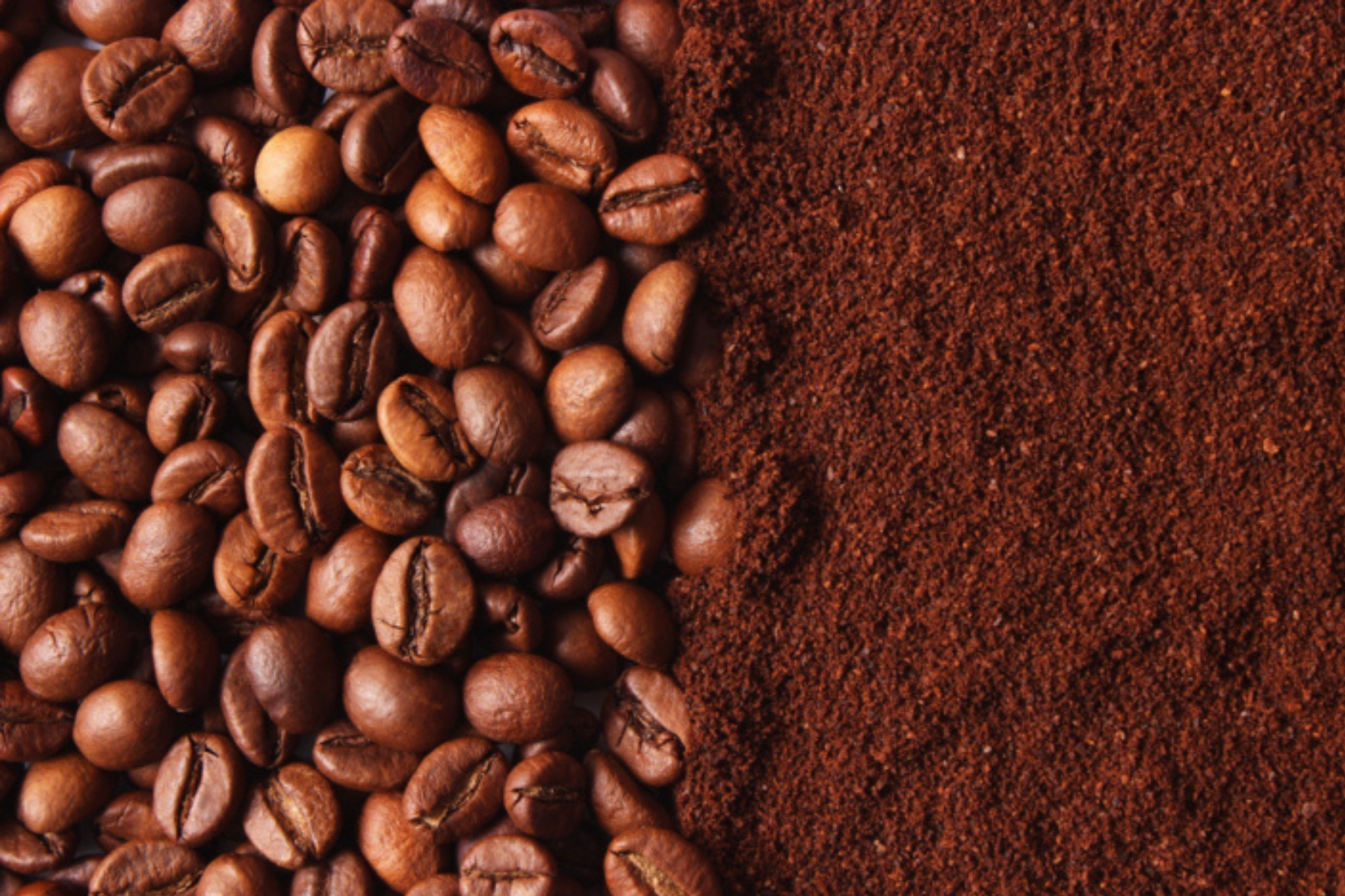 Concurso Café Qualidade Paraná abre inscrições até 30 de setembro