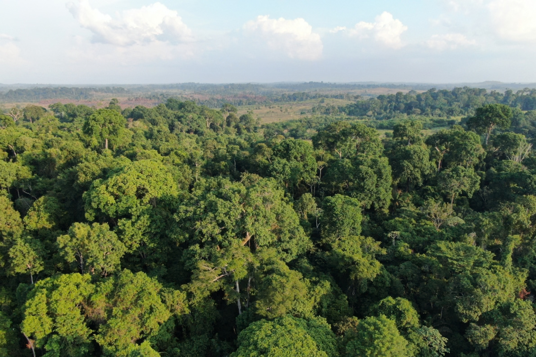 Temperaturas máximas sobem 3,22°C no Centro-Norte da Amazônia fruto da aceleração de extremos climáticos