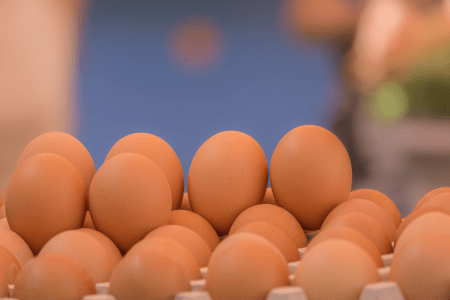 Exportações de ovos têm maior volume para agosto na série histórica