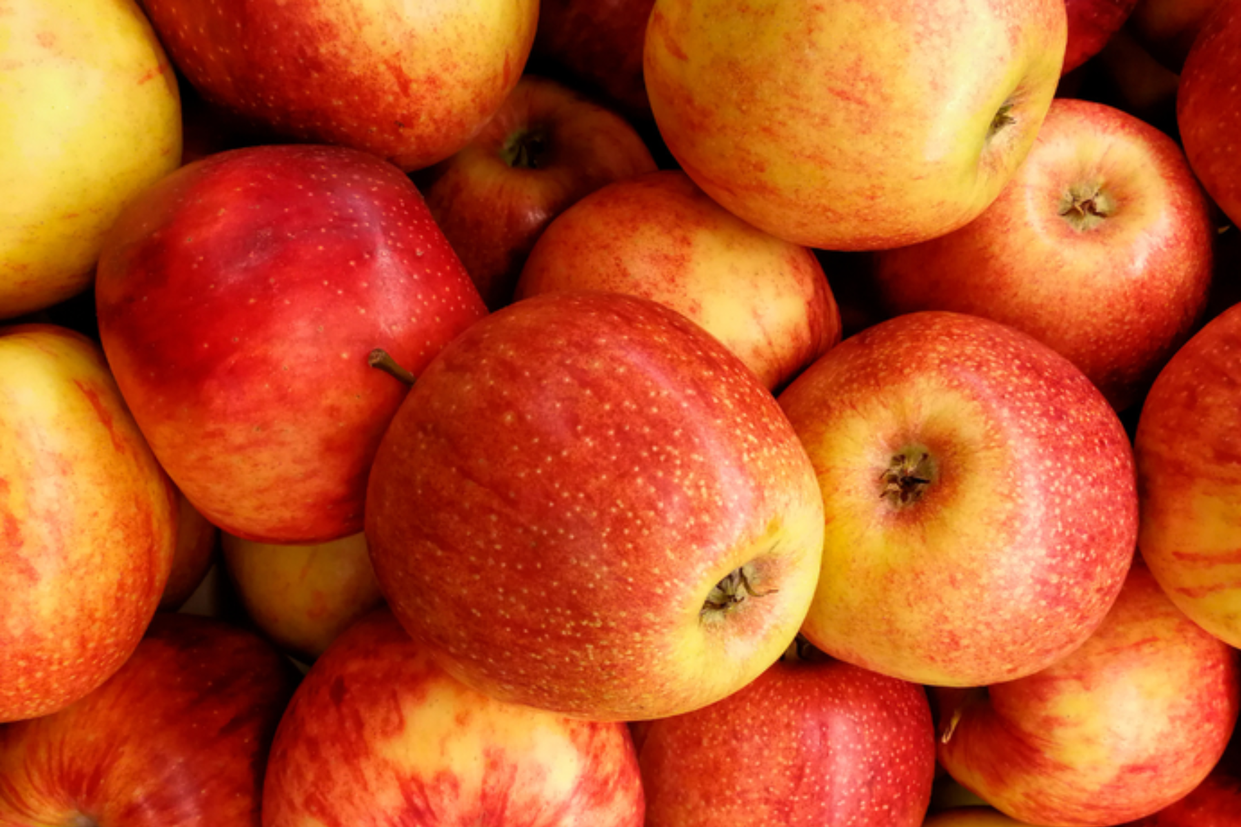 Brasil abre mercados para frutas em Cuba e colágeno no México