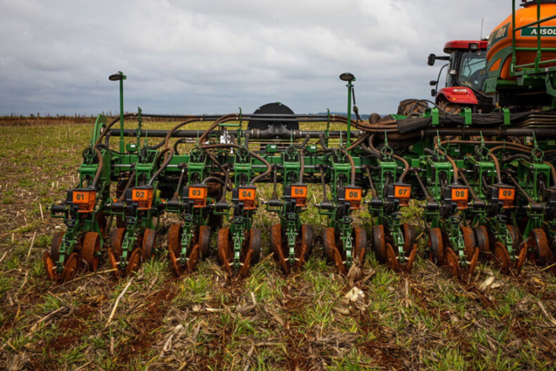 Fim do vazio sanitário exige cautela no plantio da soja em Mato Grosso
