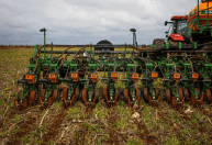 Fim do vazio sanitário exige cautela no plantio da soja em Mato Grosso