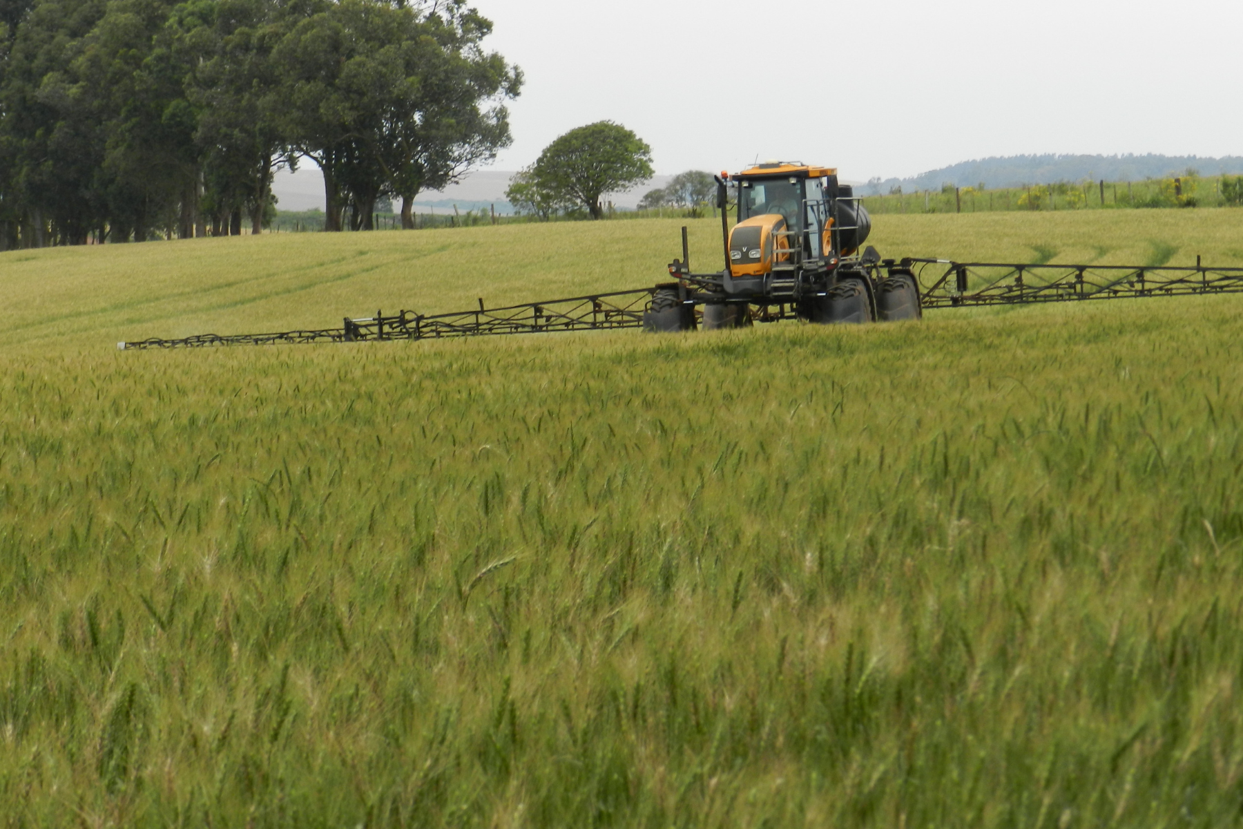 Preços agropecuários sobem 3,45% em agosto, puxados por grãos