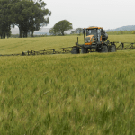 Preços agropecuários sobem 3,45% em agosto, puxados por grãos