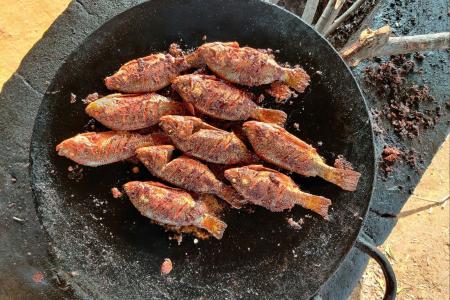 Peixe frito