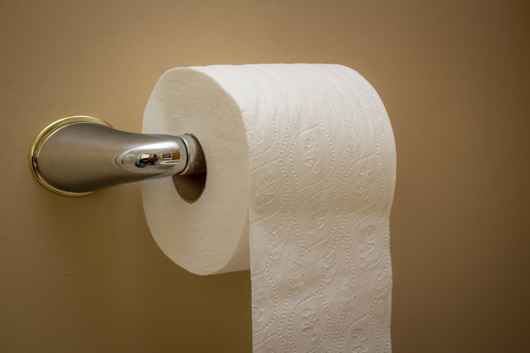 Papel higiênico para frente ou para trás: qual a posição correta e limpa