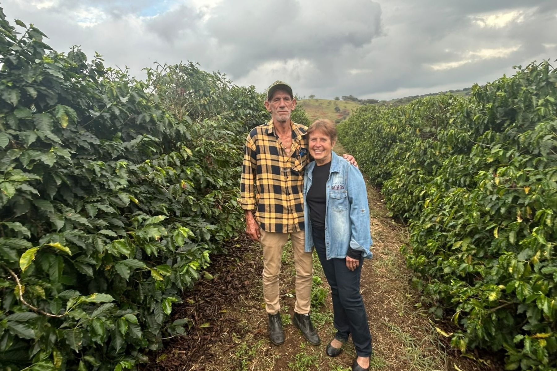 Café especial ganha espaço no Sul de Minas e produtores apostam em agricultura regenerativa
