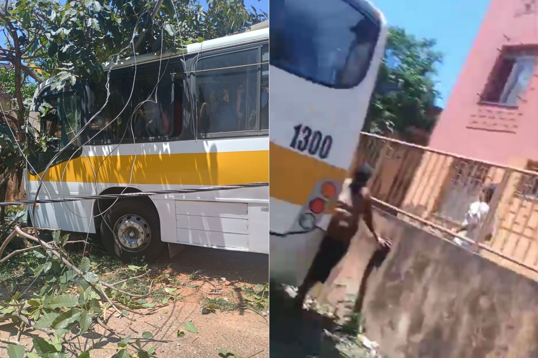 Vídeo: ônibus escolar bate em árvore no bairro Pompéia, em BH