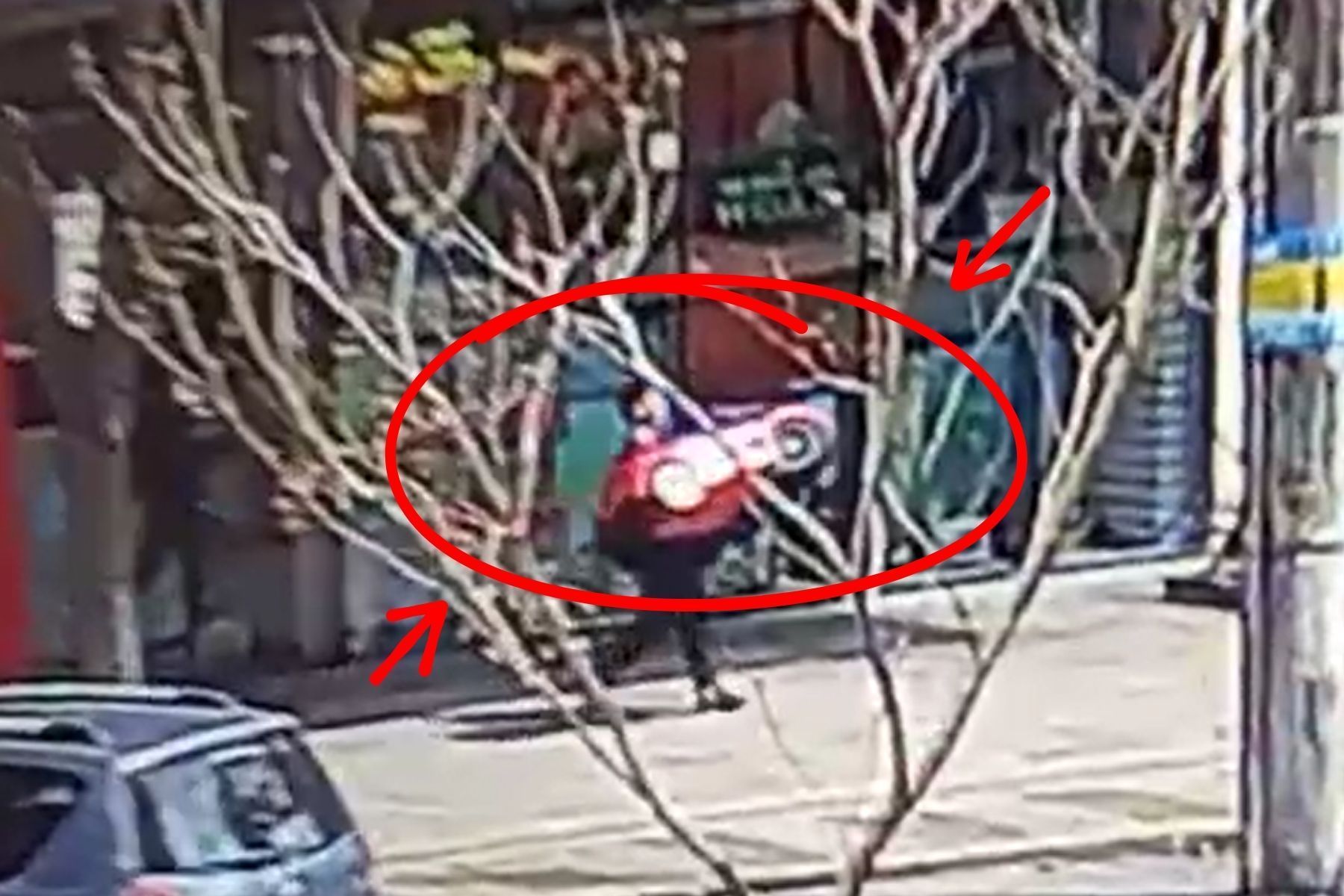 Homem furta ‘carro’ em loja de brinquedos na Savassi, em BH, e foge caminhando; veja vídeo