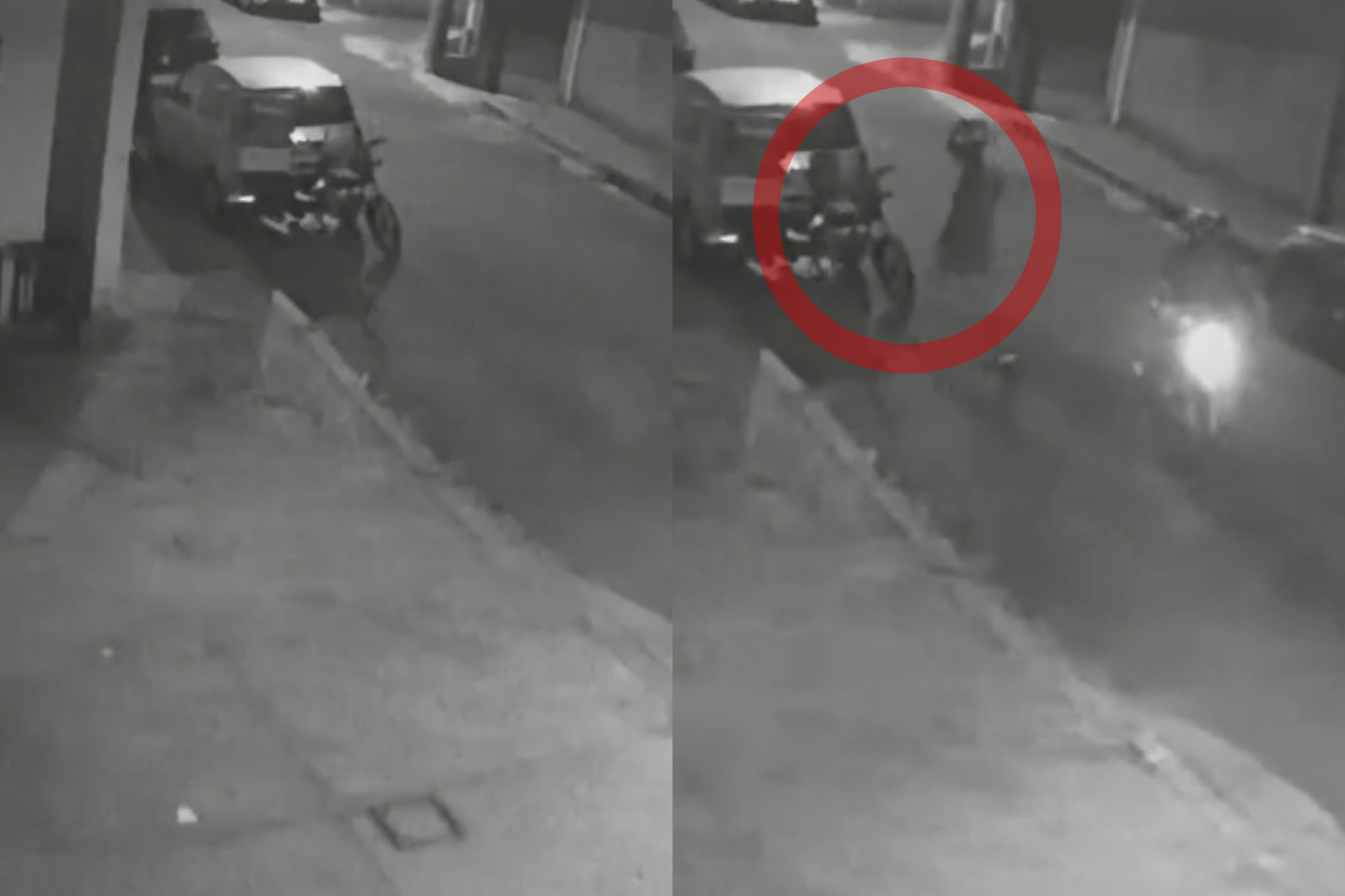 Câmeras de segurança flagram furto de moto na Região Noroeste de BH; veja vídeo