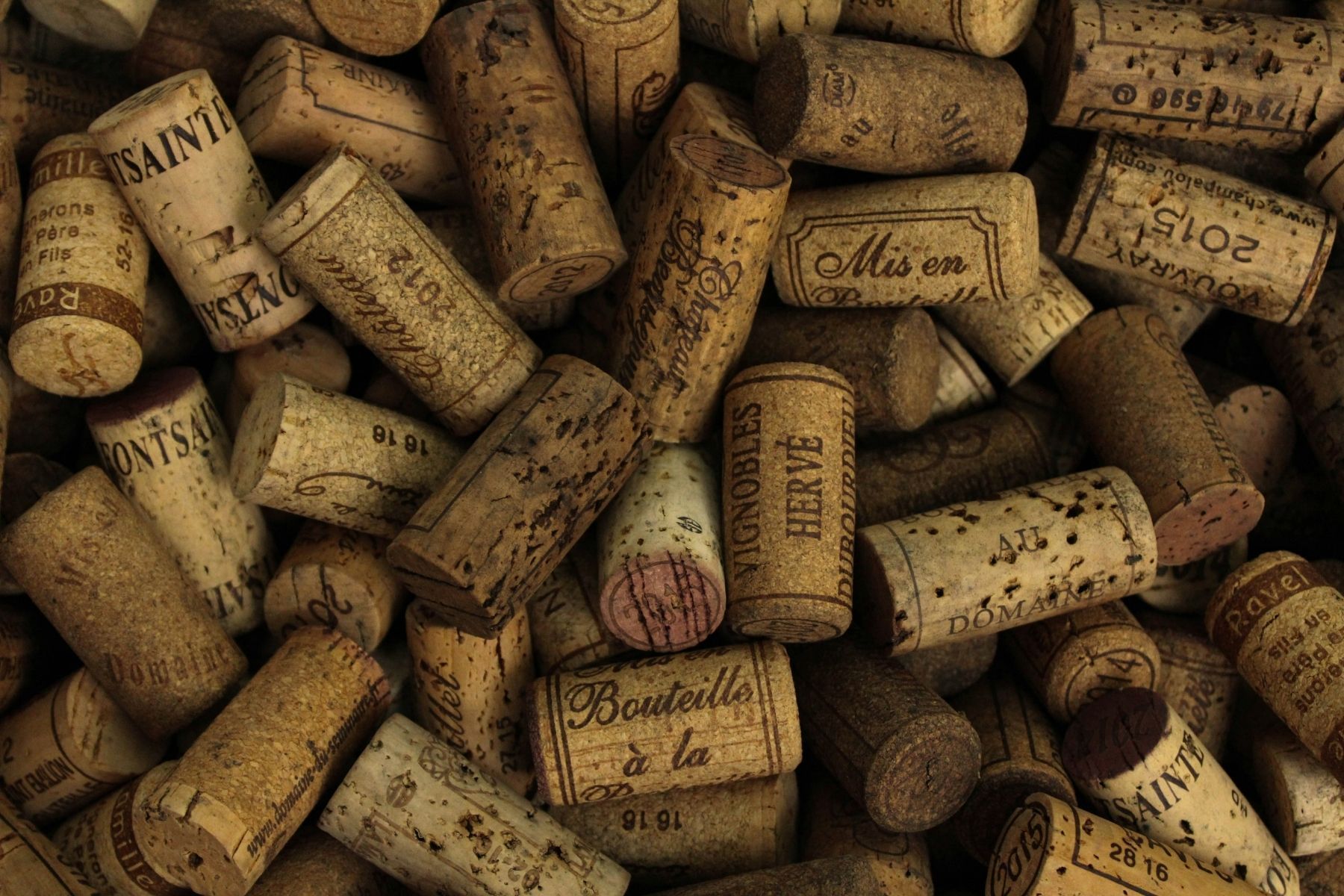 Colocar rolhas de vinho na terra das plantas: para que serve e por que jardineiros usam