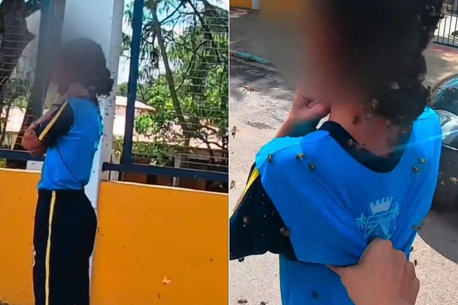 Vídeo: motoboy salva aluna de ataque de abelhas na porta de escola na Grande BH