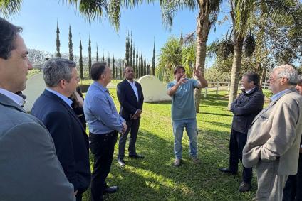 Ministro conhece produção de azeites premiados no Rio Grande do Sul
