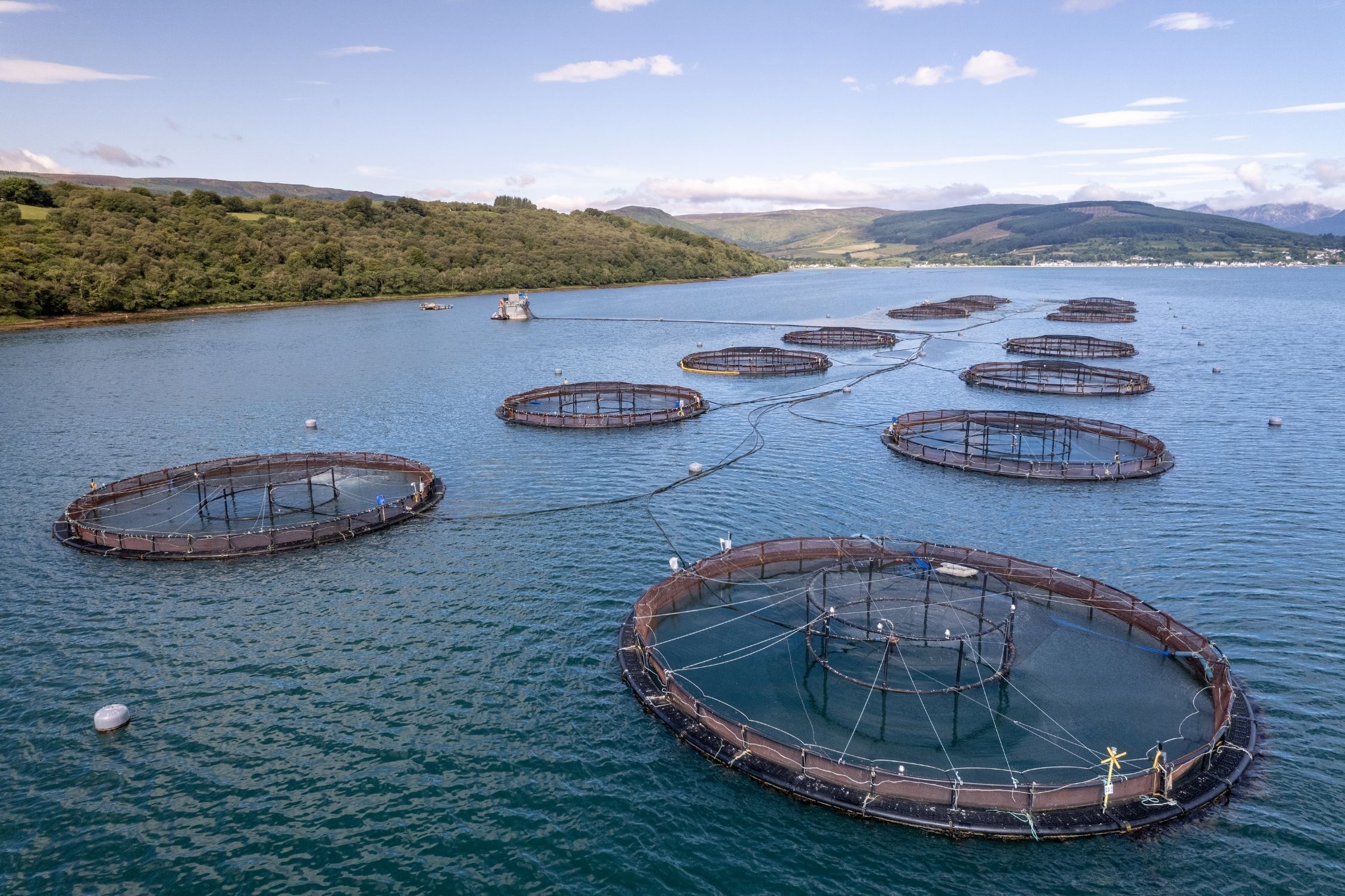 Conama altera licenciamento da aquicultura e simplifica regras para produtores