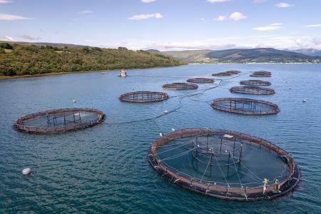 Conama altera licenciamento da aquicultura e simplifica regras para produtores