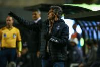 Relembre as passagens de Renato Gaúcho como técnico do Grêmio