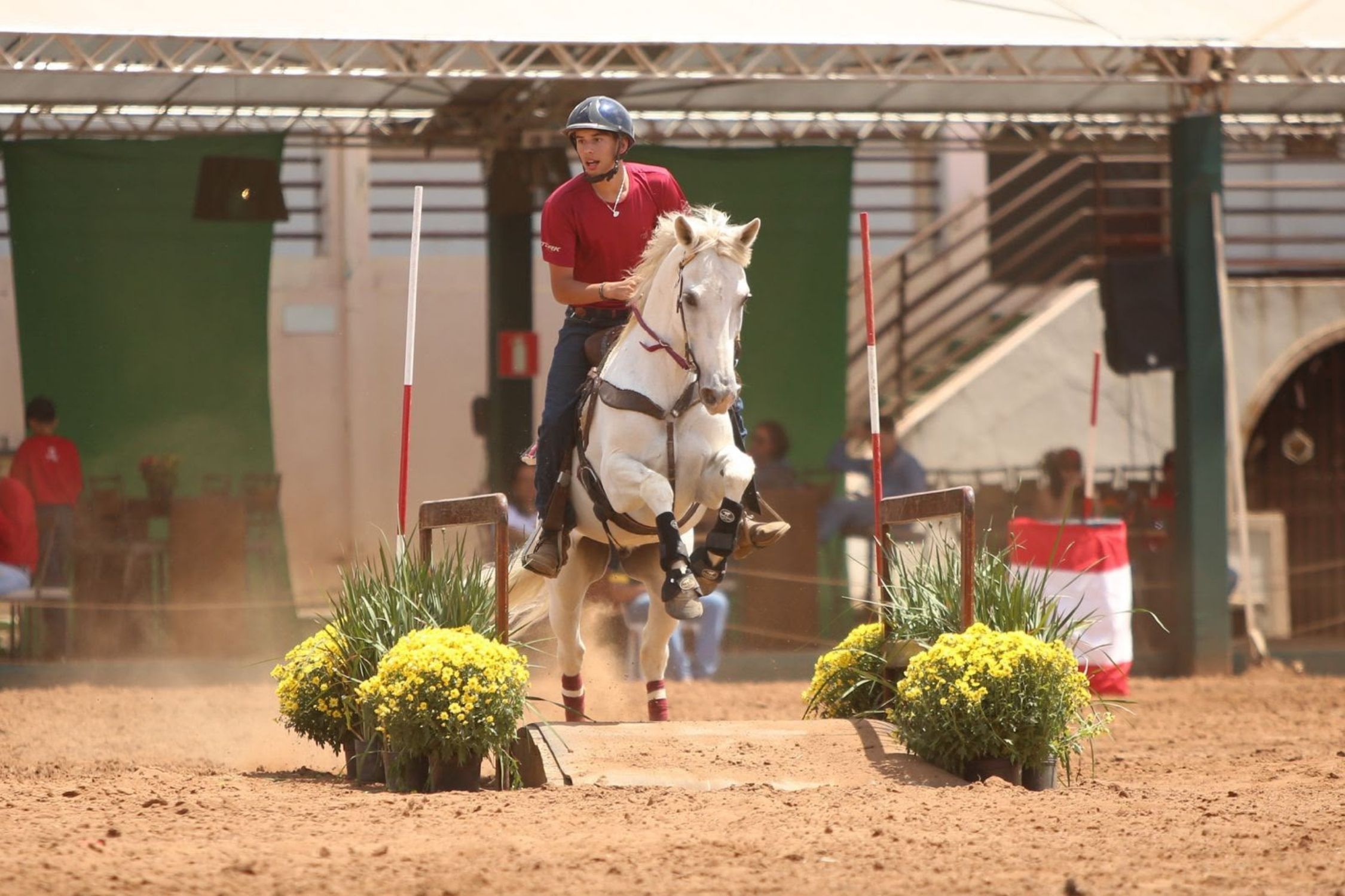 Campeonato Brasileiro de Esportes do Mangalarga Marchador começa em BH