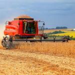 Safra recorde de 2025 faz valor da produção agrícola atingir R$ 927,2 bilhões, diz IBGE
